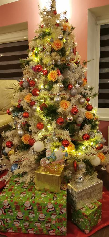 Holiday Home Noras Nams Cesis Bagian luar foto